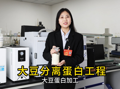 產(chǎn)品視頻|大豆分離蛋白生產(chǎn)工藝及提取設(shè)備
