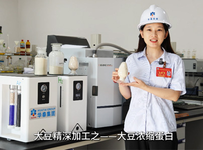 產(chǎn)品視頻|大豆蛋白提取生產(chǎn)工藝及設(shè)備